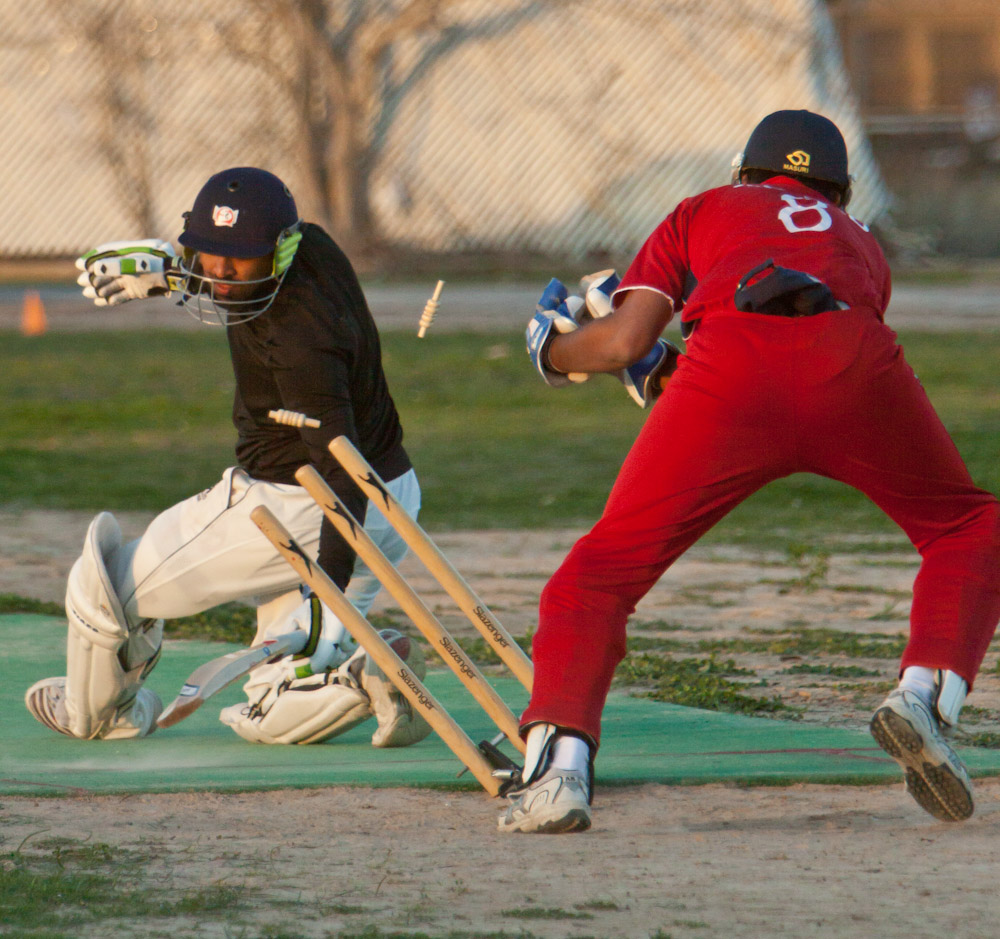 The wicket keeper knocks over the wickets to put the UH-Clear Lake hitter out during their match at the Southwest Regional on January 28, 2012.
